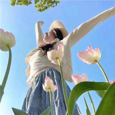 人海孤鸿